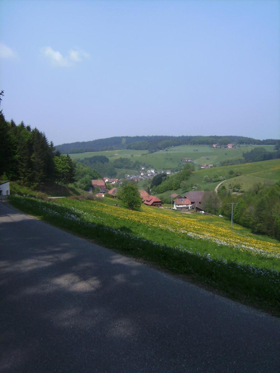 Schuttertal Gasthof Krone מראה חיצוני תמונה